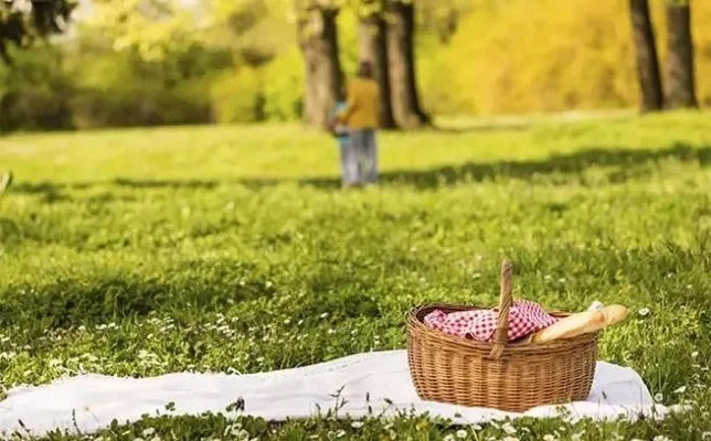 Where to Buy Picnic Blankets: The Ultimate Sourcing Guide for Retailers & Wholesalers2